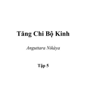 Kinh Tăng Chi Bộ - Tập 5 - pdf file