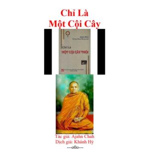 Chỉ Là Một Cội Cây pdf