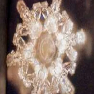 Nước Phản Ảnh Tâm Thức Của Chúng Ta